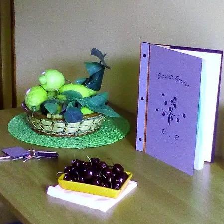 לינה וארוחת בוקר Garden