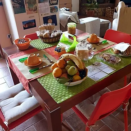 Garden Couette-café