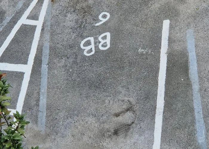 Garden Couette-café